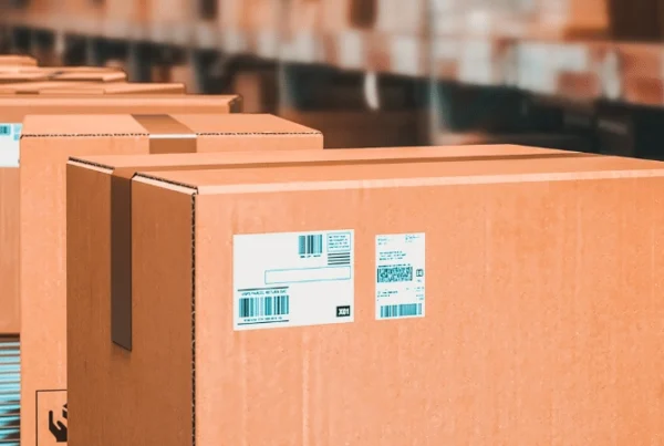Introducción a las Cintas Transportadoras para la Industria