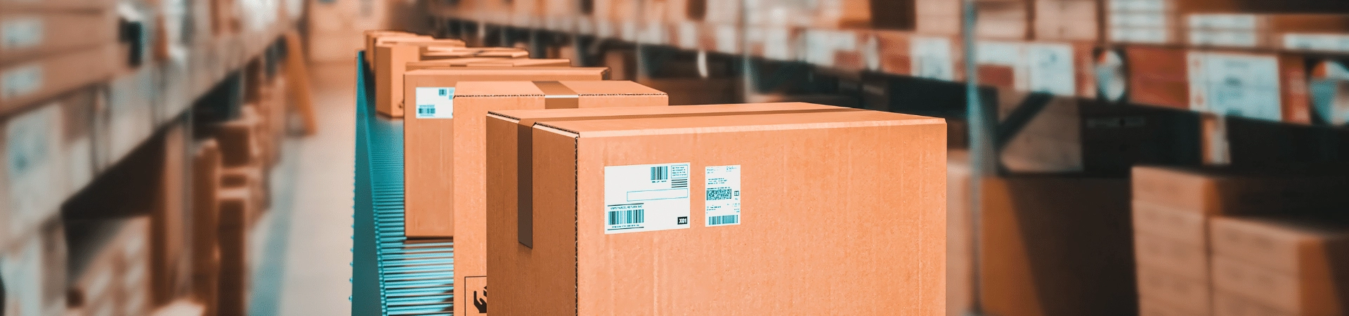 Introducción a las Cintas Transportadoras para la Industria